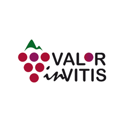 Video presentation of ValorinVitis Project