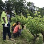 2nd meeting of the "school in the vineyard" with foreign refugees