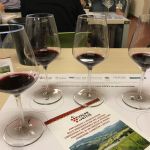 The future typicity of "Colli Piacentini" region: tasting of ERVI wines