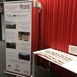 Roll-up and flyers of ValorInVitis project