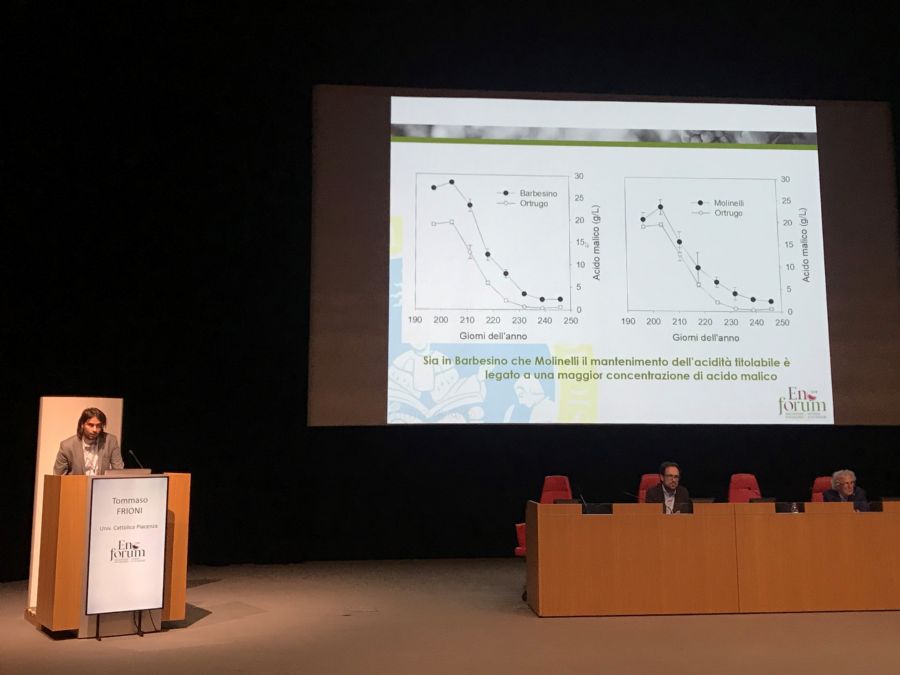 Tommaso Frioni telling about the minor cultivars in response to the climate change