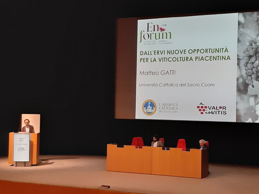 Prof. Matteo Gatti presents Ervi, a crossing from Barbera and Croatina