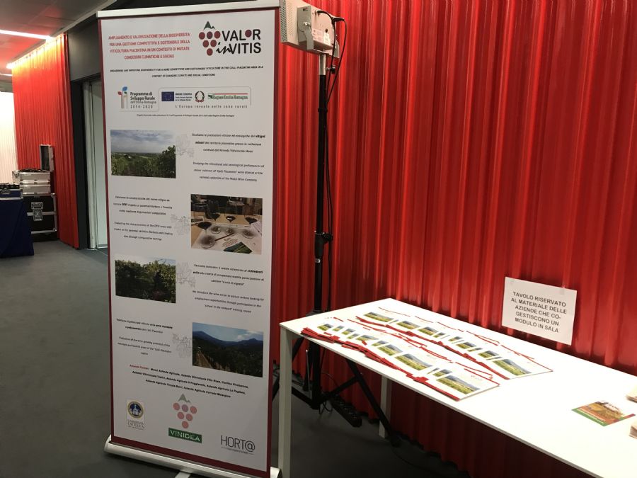 Roll-up and flyers of ValorInVitis project