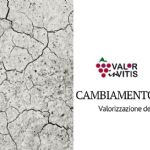 Valorizzazione dei vitigni minori in risposta alle mutate condizioni climatiche