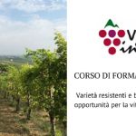 Innovative pathogen-resistant cultivars and biodiversity: new opportunities for viticulture of tomorrow