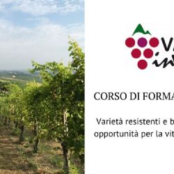 Innovative pathogen-resistant cultivars and biodiversity: new opportunities for viticulture of tomorrow