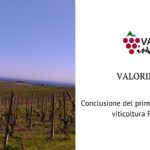 ValorInVitis: positive results for the first Operational Group totally dedicated to the viticulture of "Colli Piacentini" wine district